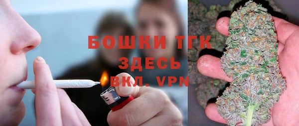 прущие грибы Горно-Алтайск