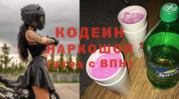 прущие грибы Горно-Алтайск