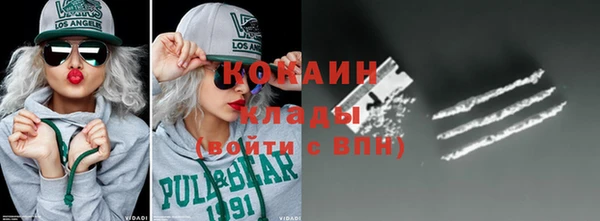 прущие грибы Горно-Алтайск