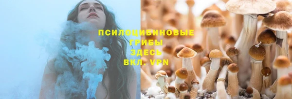 альфа пвп Горняк