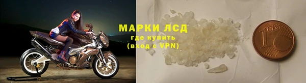 прущие грибы Горно-Алтайск