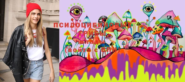 мет Горнозаводск