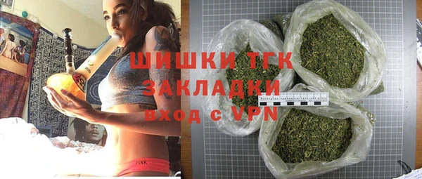 прущие грибы Горно-Алтайск