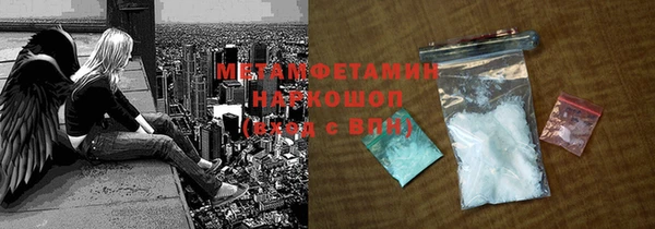 прущие грибы Горно-Алтайск
