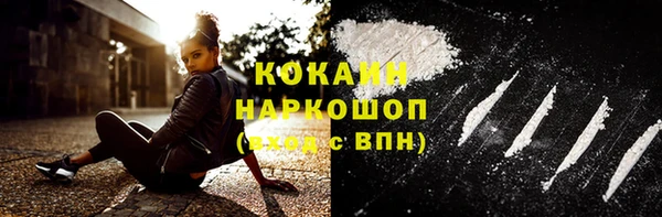 прущие грибы Горно-Алтайск